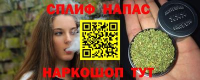 шишки Можайск