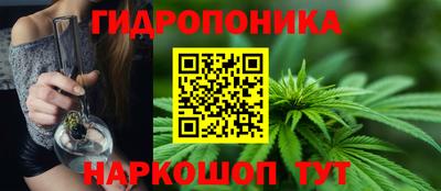 ешки Можга