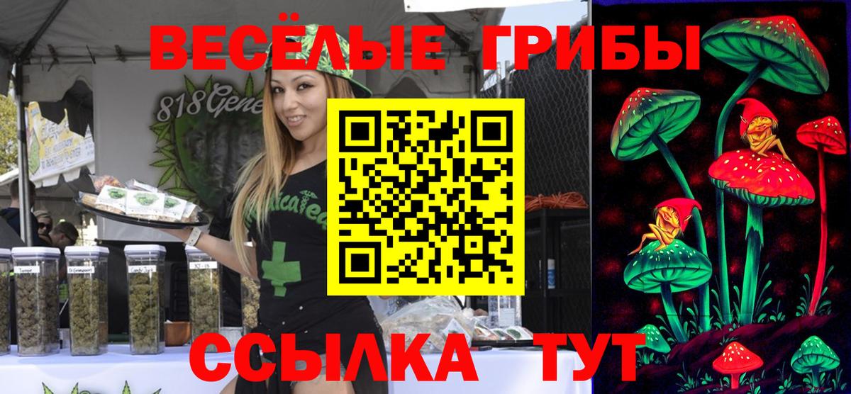 Строитель  Галлюциногенные грибы прущие грибы  Вход с VPN 